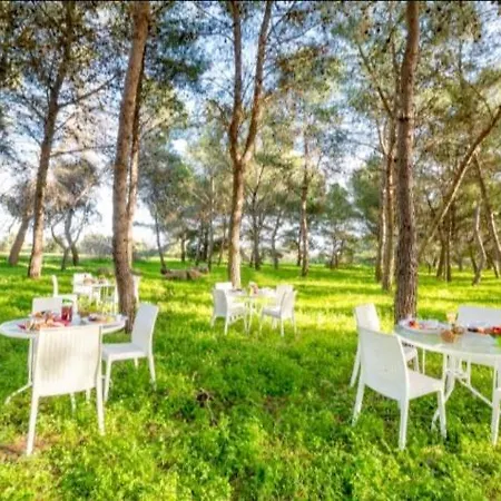 A Casa Noscia - Bb Charming House Bed & Breakfast San Pietro in Bevagna